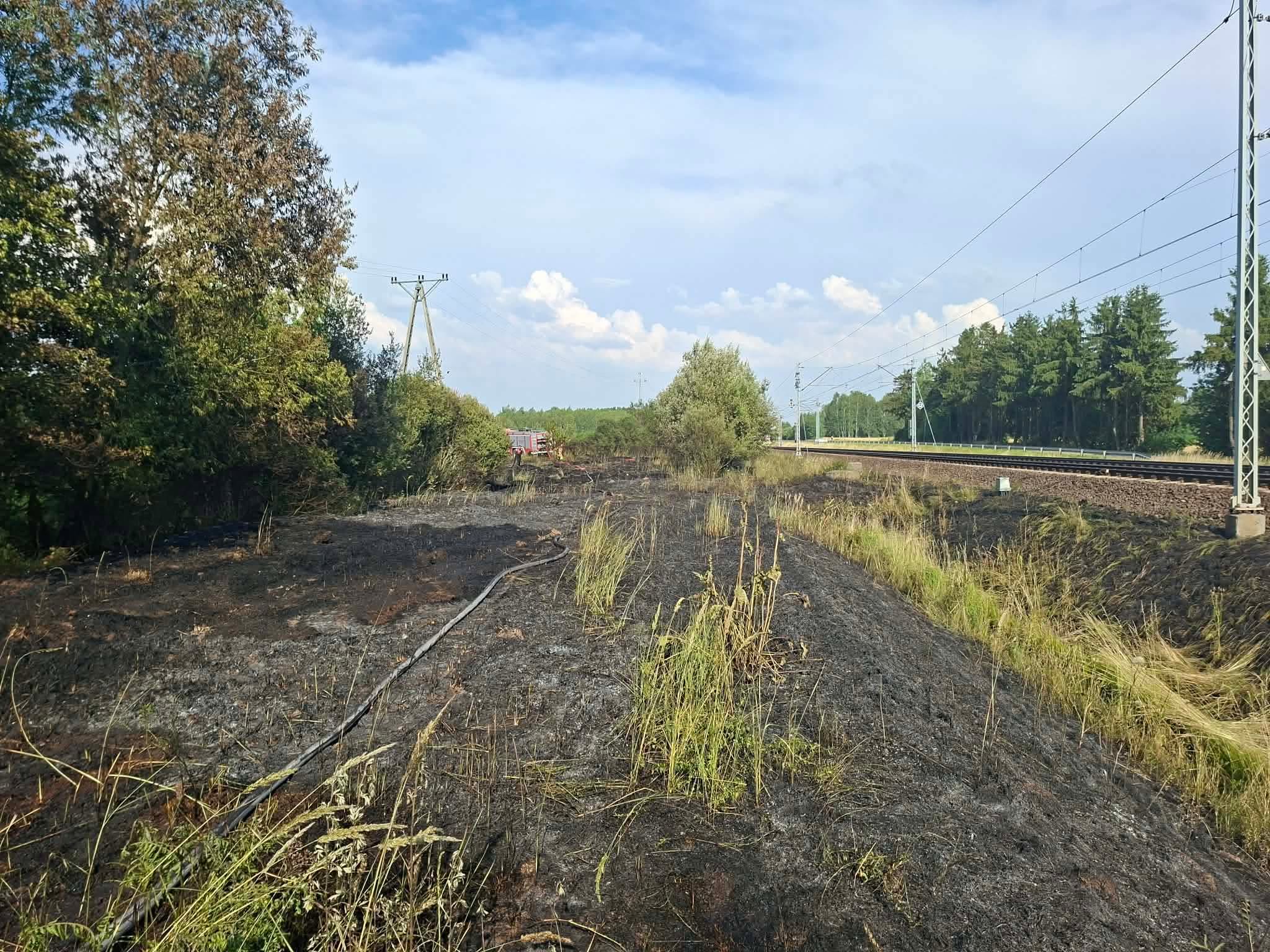 Duży pożar traw wzdłuż torów kolejowych. Ogień objął około 16 kilometrów, pociągi stanęły