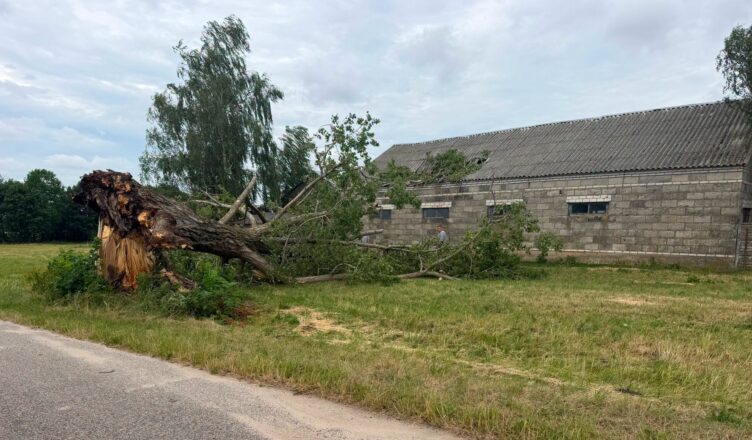 Nawałnica uderzyła w Mazowsze. Ponad 350 interwencji strażaków, zniszczone dachy i budynki