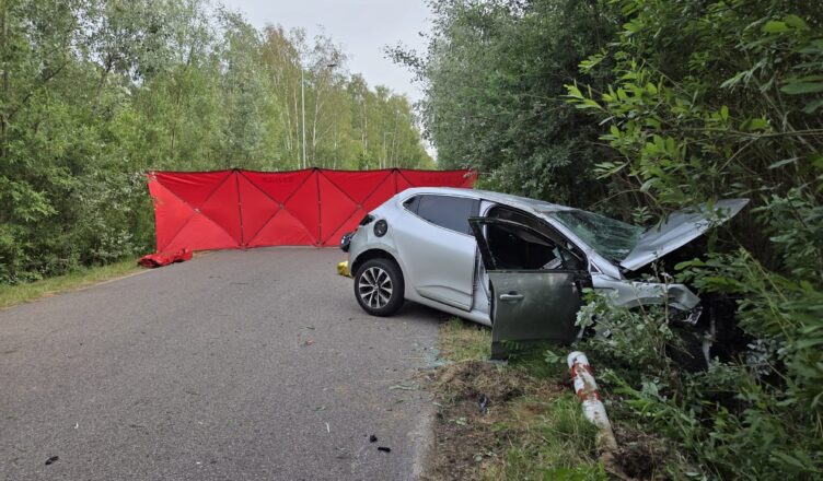 Tragiczny wypadek w Małocicach. Renault uderzyło w drzewo, 29-letni kierowca zginął na miejscu