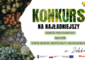 Najpiękniejsze balkony i ogrody w Ząbkach. Miasto ogłosiło wyniki konkursu