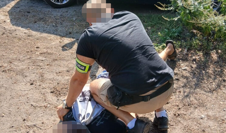 31-latek podejrzany o wprowadzanie do obrotu znacznych ilości narkotyków trafił na 3 miesiące do aresztu