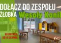 Kobyłka - oferta pracy
