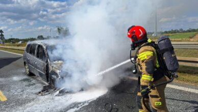Pożar samochodu w Palmirach. Auto stanęło w ogniu, strażacy gasili je na drodze