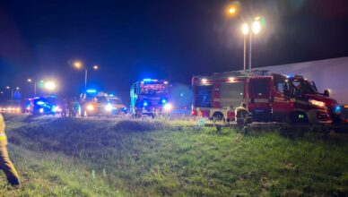 Wypadek na S8 w Niegowie. Samochód wypadł z trasy, na miejscu straż, pogotowie i policja