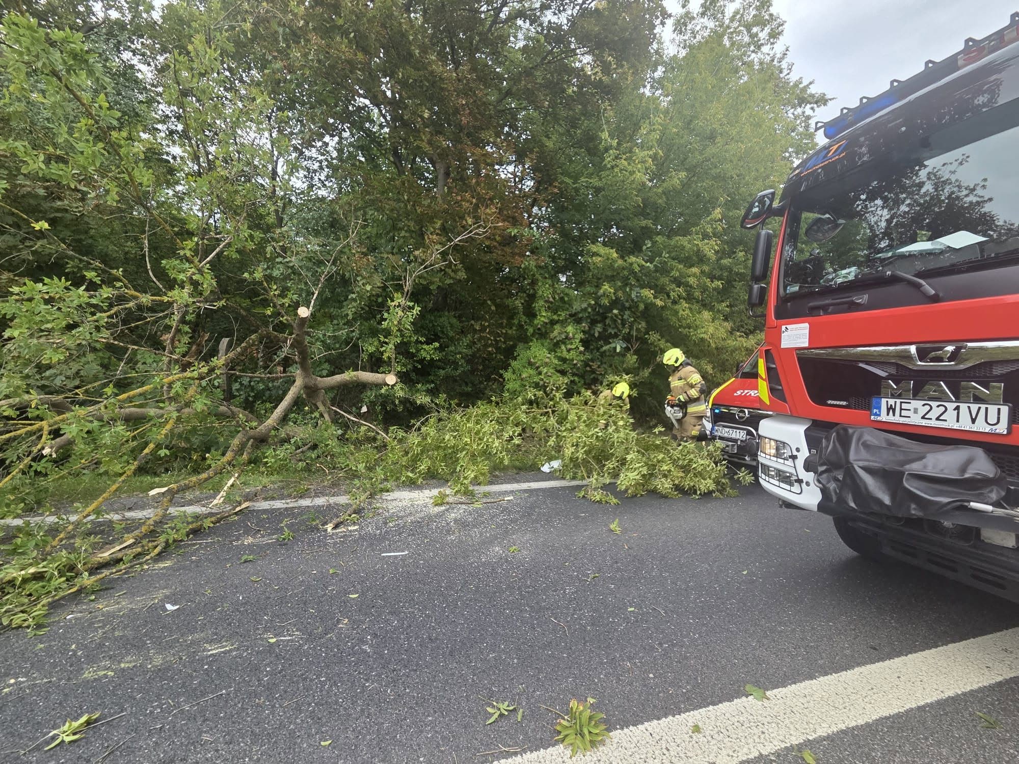 Konar runął na jezdnię i uderzył w samochody. Groźne zdarzenie w Nowym Dworze Mazowieckim