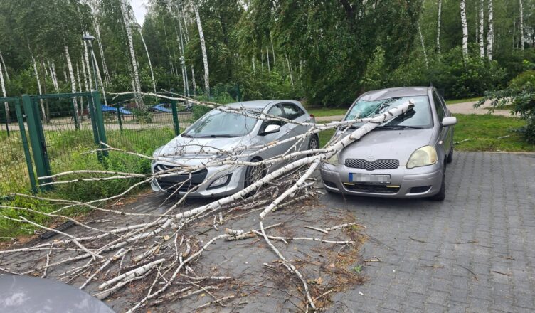 Seria interwencji po wichurze w Ząbkach. Powalone drzewa blokowały ulice, chodniki i niszczyły samochody
