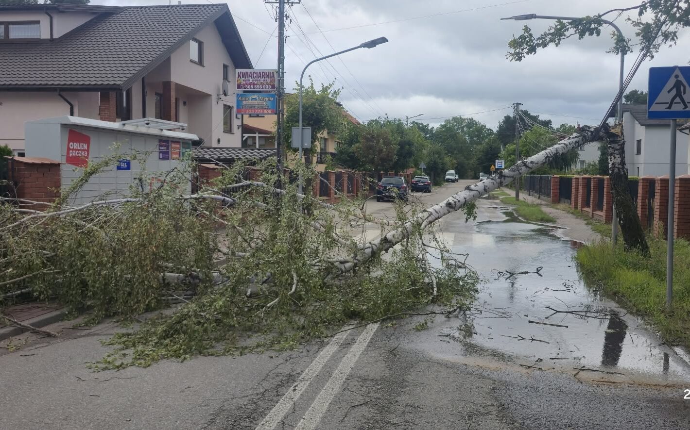 Wichura łamała drzewa w Wołominie, Lipinkach i Zagościńcu. Strażacy interweniowali od rana do popołudnia
