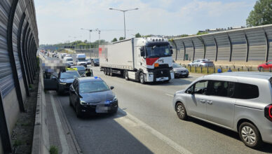 "Kobra" i CBŚP działają, kolejna wspólna realizacja