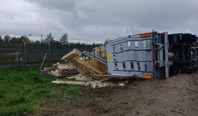 Ciężarówka z żywymi kurczakami przewróciła się w Nowym Trzepowie. Kierowca trafił do szpitala, droga została zablokowana
