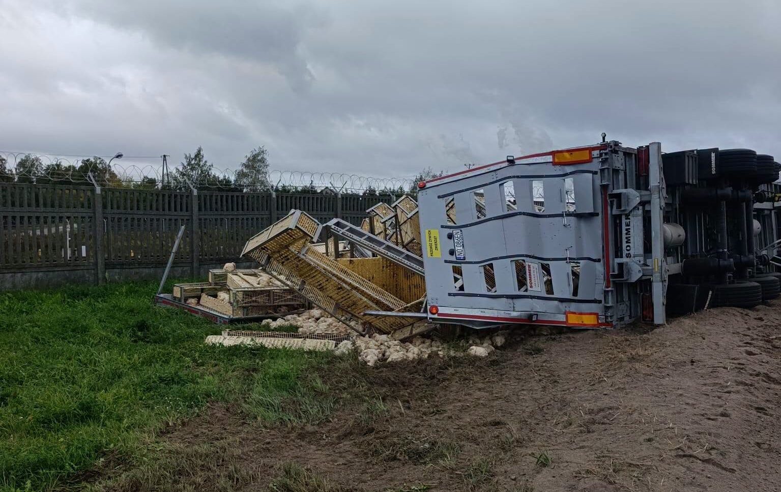 Ciężarówka z żywymi kurczakami przewróciła się w Nowym Trzepowie. Kierowca trafił do szpitala, droga została zablokowana