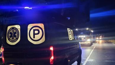 Zderzenie z dzikim zwierzęciem na DK-50. Uszkodzone auto, poszkodowani i ruch wahadłowy