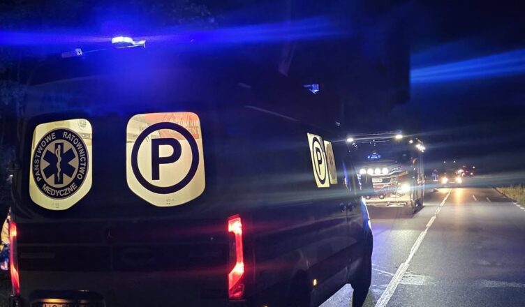 Zderzenie z dzikim zwierzęciem na DK-50. Uszkodzone auto, poszkodowani i ruch wahadłowy