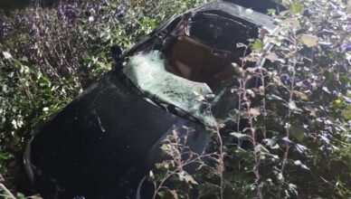 Łoś na DK92. Trzy osoby poszkodowane po zderzeniu samochodu ze zwierzęciem