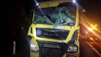 Łoś na DK50. Osobówka i ciężarówka rozbite, kobieta trafiła do szpitala