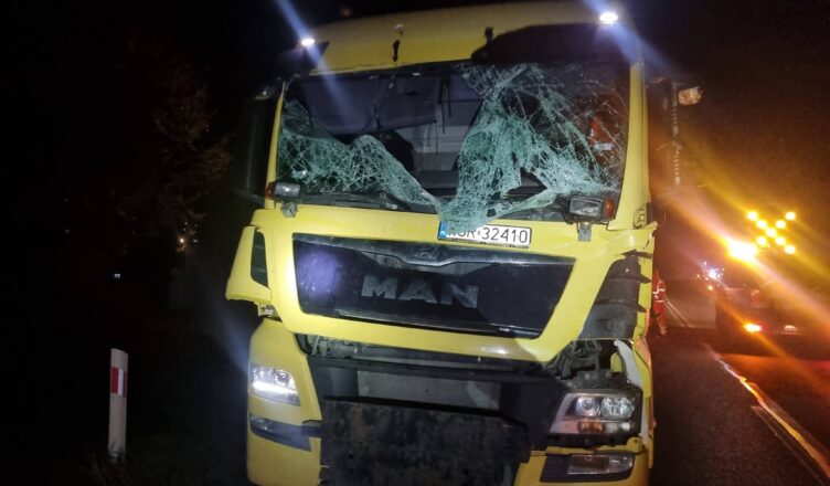 Łoś na DK50. Osobówka i ciężarówka rozbite, kobieta trafiła do szpitala